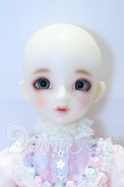 画像7: SDM/フルチョイス F-44 S-26-04-05-003-YB-ZS (7)