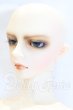 画像2: SD17BOY/ウィリアムズ 〜the young Ensign〜 S-26-05-03-056-SK-ZS (2)