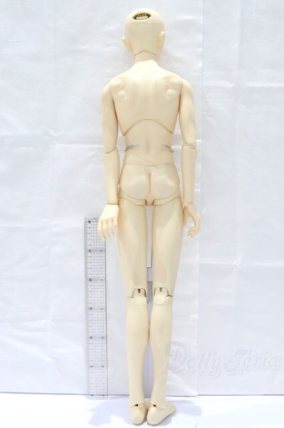 画像6: SD17BOY/ウィリアムズ 〜the young Ensign〜 S-25-12-21-053-SK-ZS (6)