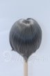画像2: 7-8inch/ウィッグ S-26-03-01-020-SK-ZS (2)