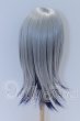 画像2: 9-10inch/ウィッグ S-26-03-22-100-SK-ZS (2)