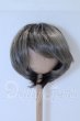 画像1: 8-9inch/ウィッグ S-26-04-05-027-SK-ZS (1)