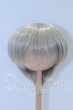 画像1: 9-10inch/ウィッグ S-26-03-22-096-SK-ZS (1)