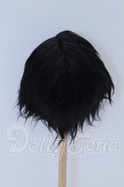 画像2: 9-10inch/ウィッグ S-26-03-08-100-SK-ZS (2)