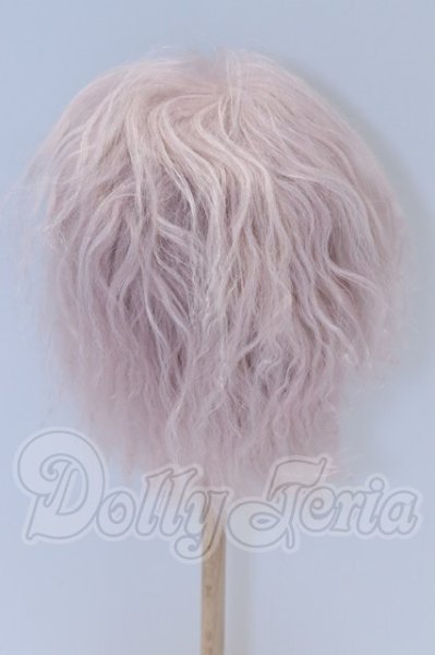 画像2: 9-10inch/ウィッグ S-26-03-22-099-SK-ZS (2)