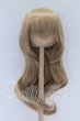 画像1: 8-9inch/ウィッグ：Ronshuka Couture様製 S-26-03-01-016-SK-ZS (1)