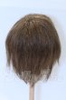 画像2: 9-10inch/ウィッグ S-26-04-19-014-YB-ZS (2)