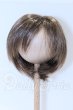 画像1: 9-10inch/ウィッグ S-26-04-19-018-YB-ZS (1)