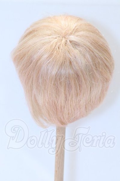 画像2: 9-10inch/ウィッグ S-26-04-19-015-SK-ZS (2)