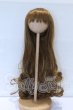 画像1: 9-10inch/ウィッグ S-26-04-05-091-SK-ZS (1)