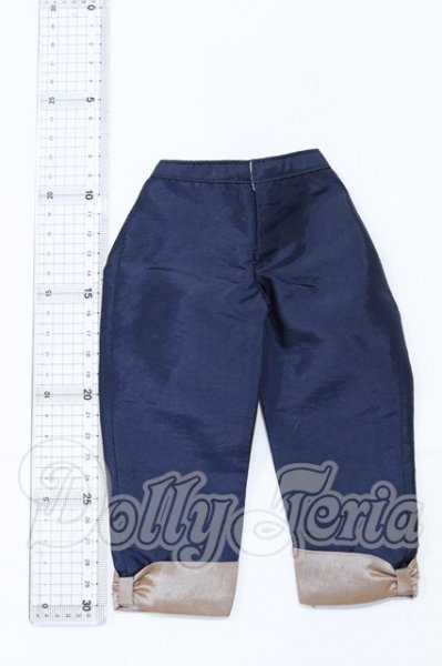 画像2: SD/OF:パンツ S-26-03-01-078-YB-ZS (2)