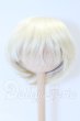 画像1: 8-9inch/ウィッグ S-26-04-19-019-SK-ZS (1)