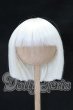 画像1: 9-10inch/ウィッグ S-26-06-14-099-SK-ZS (1)