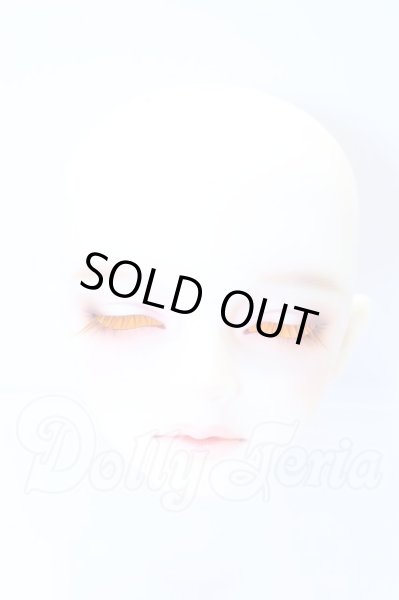 画像1: SDGr/アーニー 星間学寮ver.ヘッド S-26-02-15-007-SK-ZS (1)