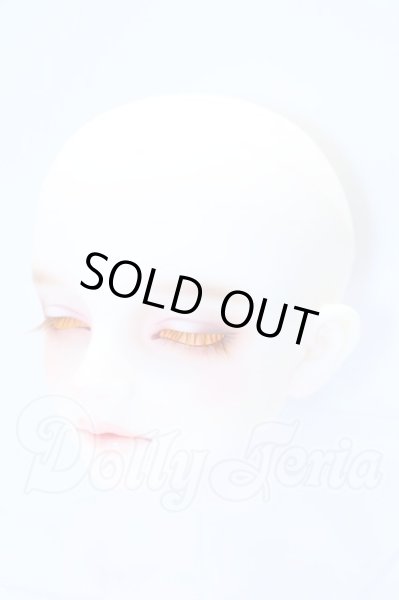 画像3: SDGr/アーニー 星間学寮ver.ヘッド S-26-02-15-007-SK-ZS (3)