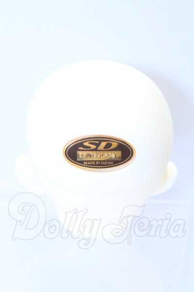 画像4: SDGr/アーニー 星間学寮ver.ヘッド S-26-02-15-007-SK-ZS (4)