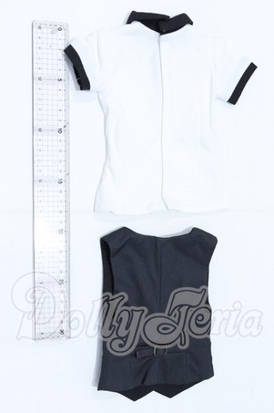 画像2: ＳＤ17ＢＯＹ/ベスト＆ポロシャツセット S-26-05-17-035-SK-ZS (2)