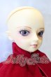 画像4: 【ヤフオク出品用】SD/真紅 S-30-01-01-001-YB-ZS (4)