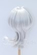 画像2: 8-9inch/ウィッグ S-26-08-23-096-YB-ZS (2)