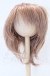 画像1: 7-8inch/ウィッグ S-26-10-04-043-YB-ZS (1)