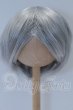 画像1: 8-9inch/ウィッグ S-26-09-13-092-SK-ZS (1)