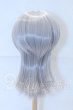 画像3: 8-9inch/ウィッグ:インソムニア様製 S-26-10-11-048-SK-ZS (3)