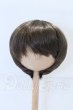 画像1: 8-9inch/ウィッグ S-26-10-11-099-SK-ZS (1)