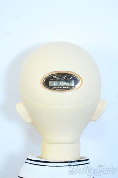 画像5: SDGrB/フルチョイスF-61 Y-25-08-20-093-YD-ZY (5)