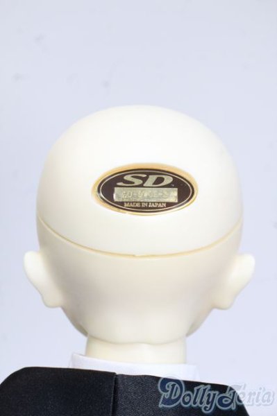 画像7: SD/DWC#02ヘッド+SDGrBボディ Y-25-08-20-092-YD-ZY (7)
