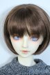 画像1: SDGrBOY/フルチョイス：F-34番ヘッド Y-25-08-20-095-YD-ZY (1)