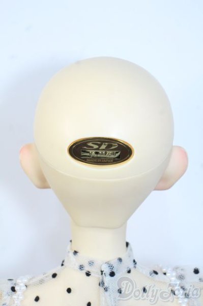 画像7: SD/くんヘッド+SD16Girlボディ Y-25-08-20-089-YD-ZY (7)
