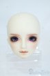 画像1: SD/フルチョイス：F-64ヘッドのみ Y-25-08-13-264-YD-ZY (1)