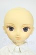 画像2: SD/ののヘッド+男の子ボディ Y-26-05-15-298-WT-ZY (2)