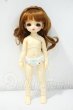 画像7: 幼SD/ルナ Galerie de l'esprit BONBON Fleur Bleu Ver. Y-26-09-29-153-WT-ZY (7)