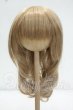 画像1: 9-10inch/VOLKS製ウィッグ Y-26-10-06-244-WT-ZY (1)