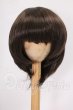 画像1: 8-9inch/ウィッグ I-26-05-28-183-KD-ZI (1)