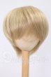 画像1: 8-9inch/ウィッグ I-26-05-28-173-KD-ZI (1)