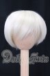 画像1: 6-7inch/ウィッグ I-26-05-21-051-KD-ZI (1)