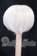 画像2: 6-7inch/ウィッグ I-26-05-21-051-KD-ZI (2)