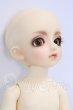 画像5: 幼ＳＤ/ピッコロ2ＮＤ I-26-04-30-062-KD-ZI (5)