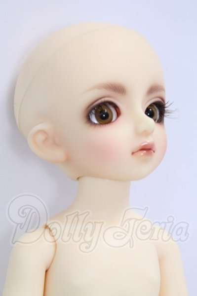 画像5: 幼ＳＤ/ピッコロ2ＮＤ I-26-04-30-062-KD-ZI (5)