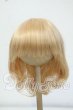 画像1: 8-9inch/ウィッグ Y-26-06-30-028-WT-ZY (1)