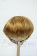 画像1: 8-9inch/ウィッグ Y-26-06-30-030-WT-ZY (1)