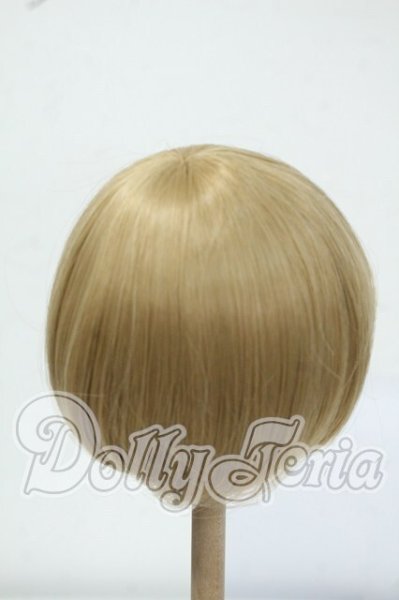 画像2: 8-9inch/ウィッグ Y-26-06-30-029-WT-ZY (2)