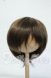 画像1: 8-9inch/ウィッグ Y-26-06-30-037-WT-ZY (1)