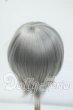 画像2: 8-9inch/ウィッグ Y-26-06-30-035-WT-ZY (2)