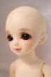 画像2: SDMBOY/コーディネートモデル：F46 I220703-1004-ZI (2)