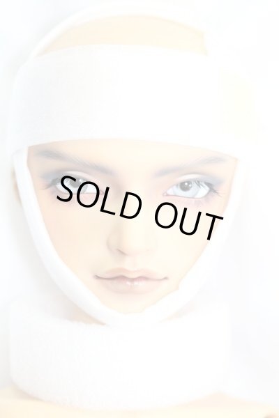 画像2: SD17BOY/レグルス 星間学寮Ver I-23-05-21-1001-ZI (2)