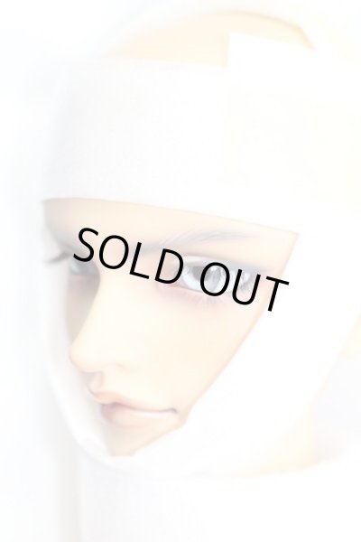 画像3: SD17BOY/レグルス 星間学寮Ver I-23-05-21-1001-ZI (3)