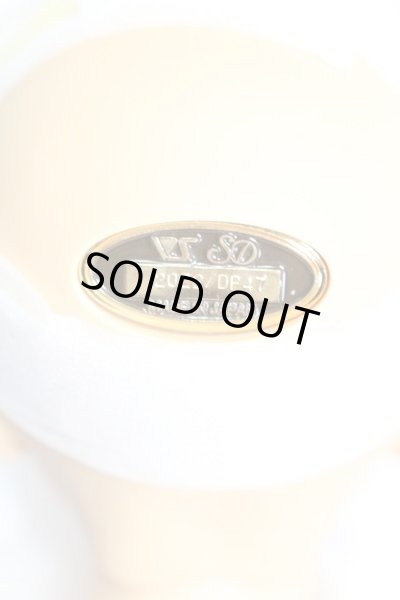 画像4: SD17BOY/レグルス 星間学寮Ver I-23-05-21-1001-ZI (4)